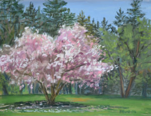 Spring’s First Blush, Pastel by Meg Bandarra