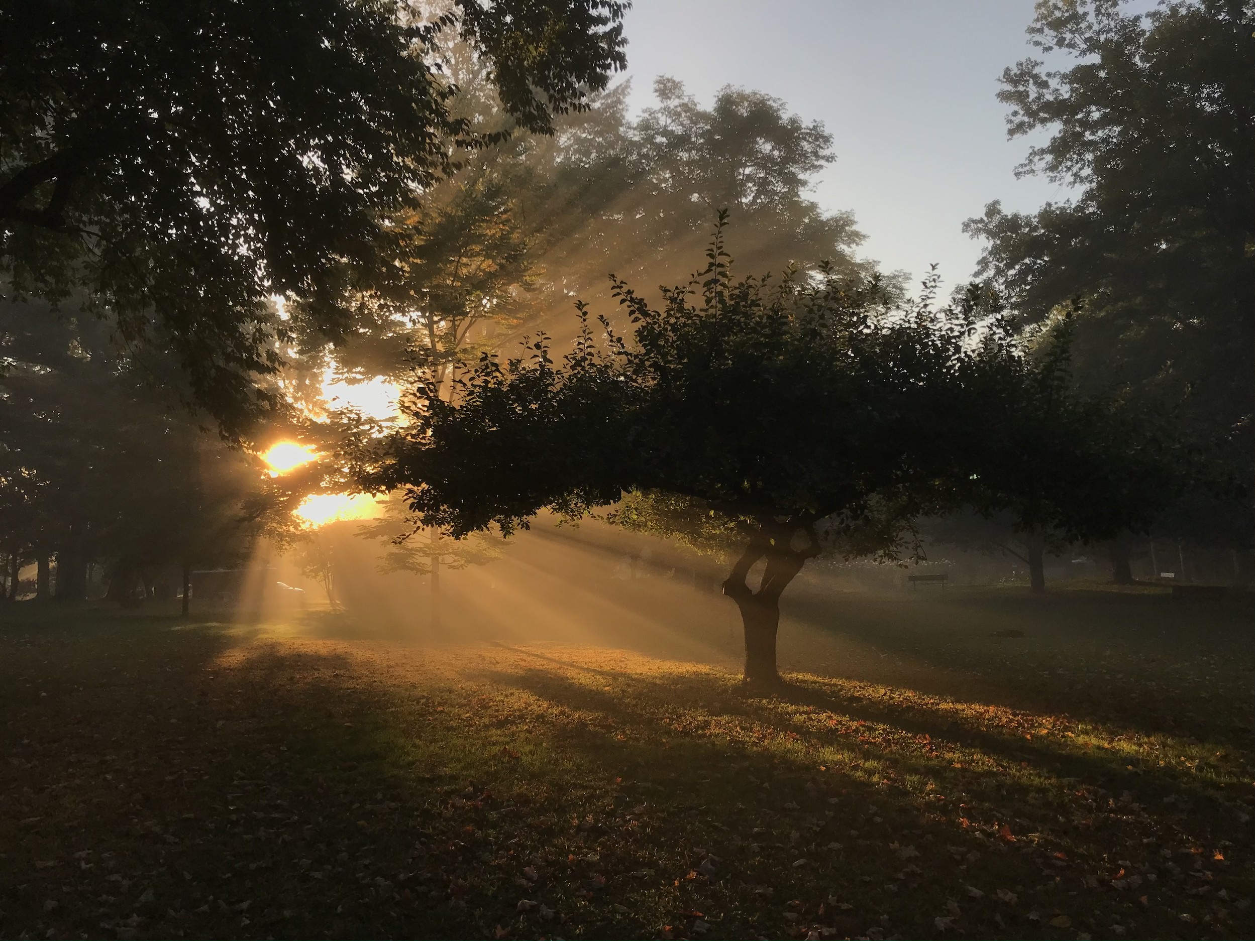 Early mornings, digital image taken on IPhone 7 Plus, by Quincy Biddle