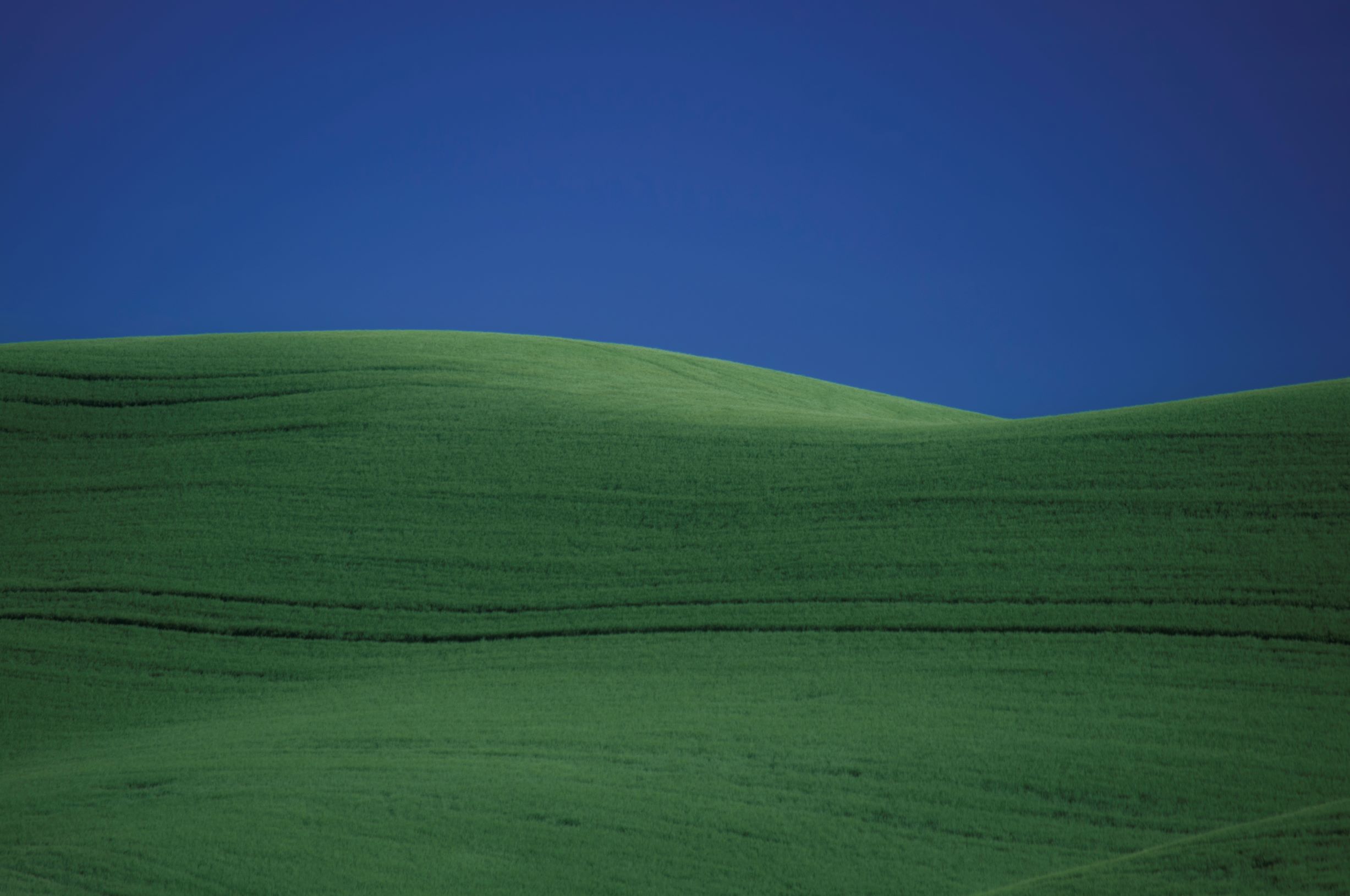 Wheat Field Abstract - Photograph by David Modzelewski