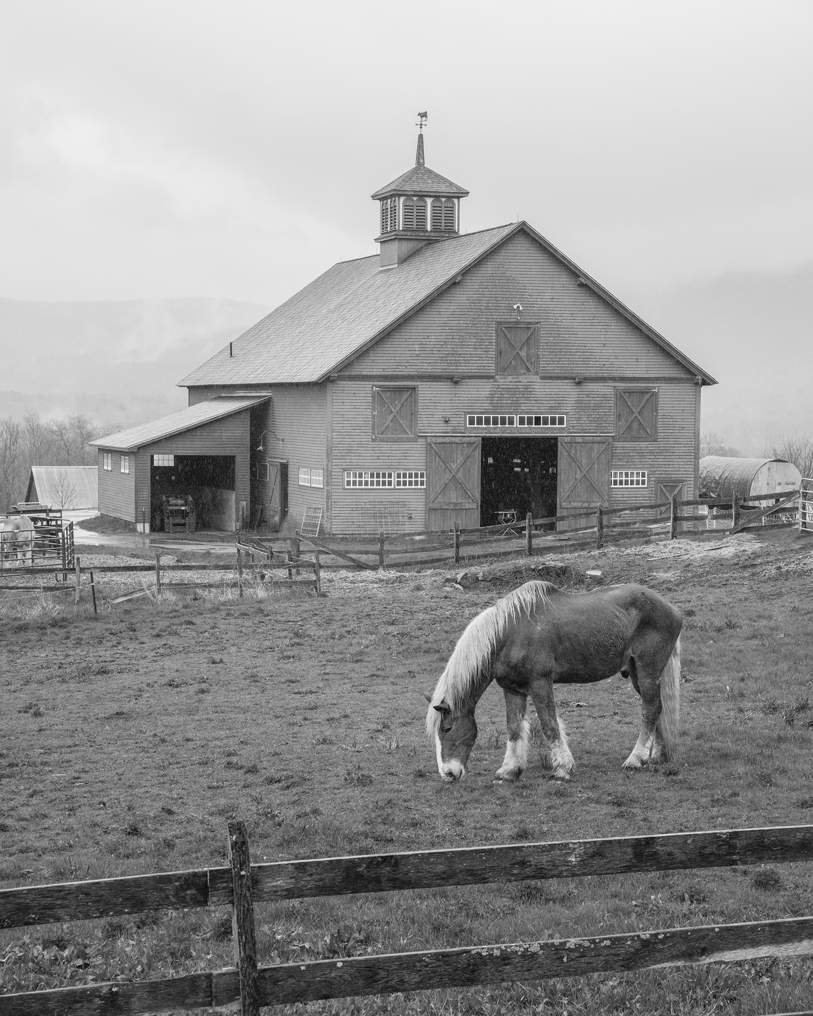 NMH farm and horse - Gill / Photograph by Charles Abel