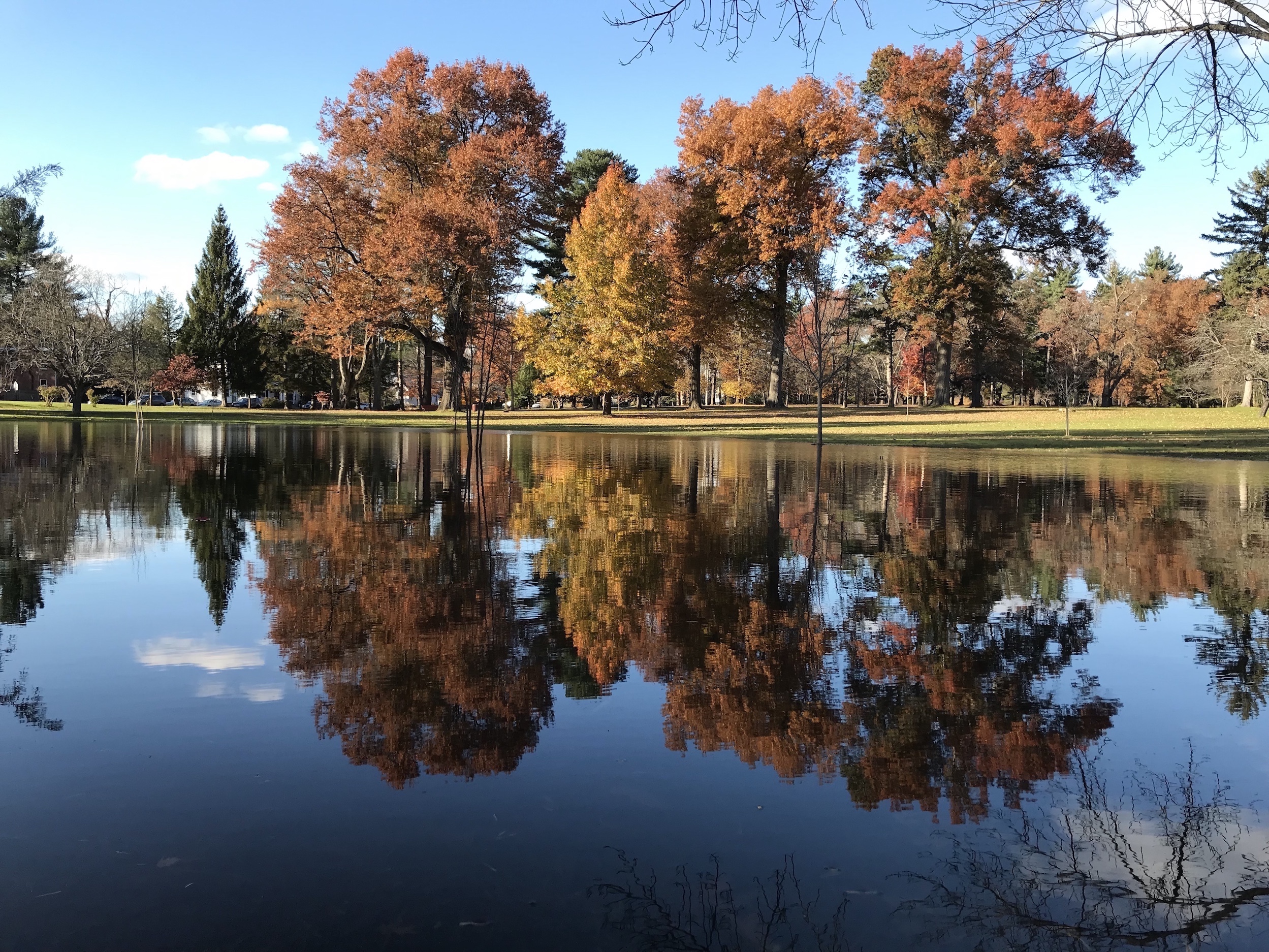 Reflections, digital image taken on IPhone 7 Plus, by Quincy Biddle