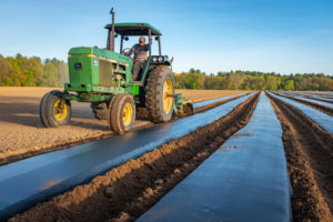 Working the Farm, photo by Jim Gillen