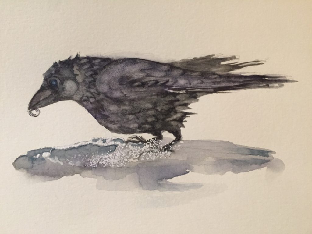 Crow with ring, watercolor by Loretta Kane