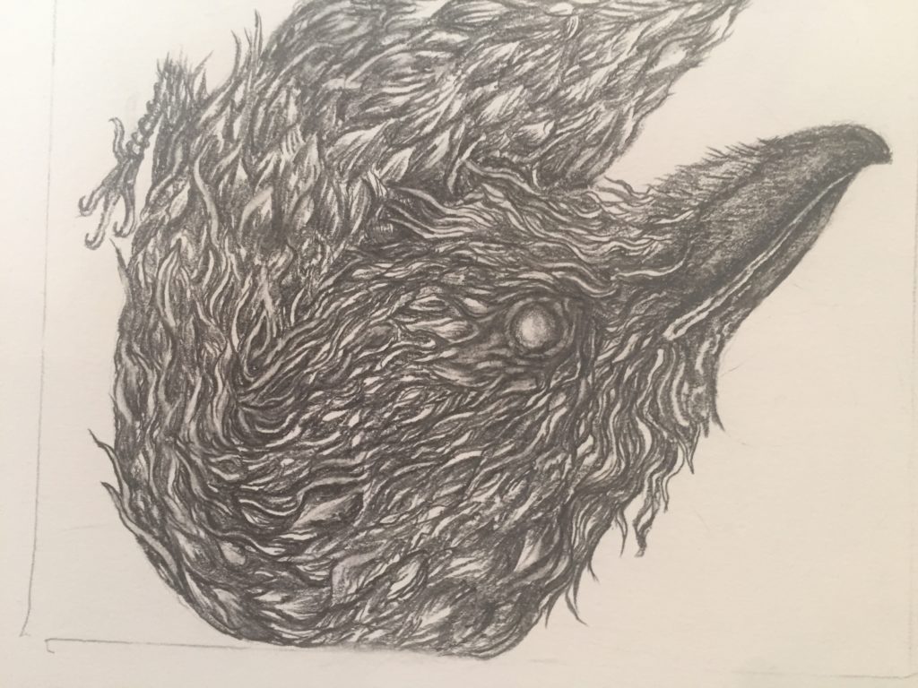 Crow peaking upwards, pencil, by Loretta Kane