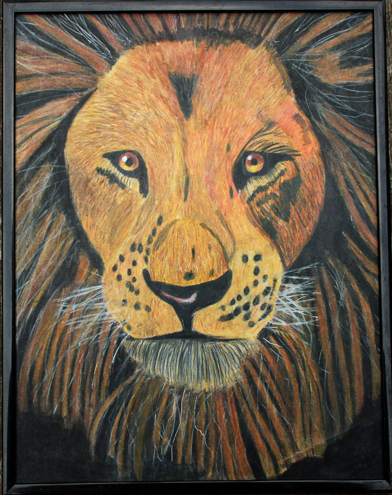 Lion, colored pencil by Galen