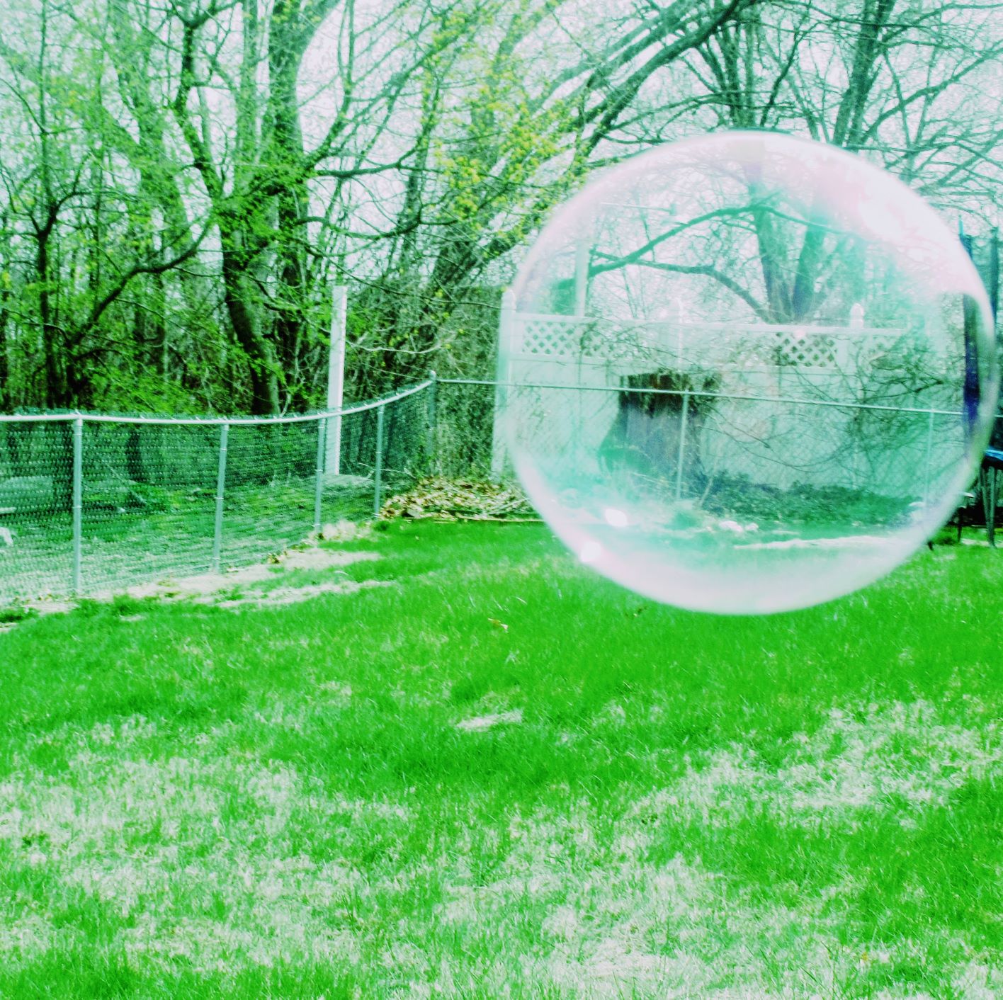 Living In A Bubble -photograph by Tara Bronner