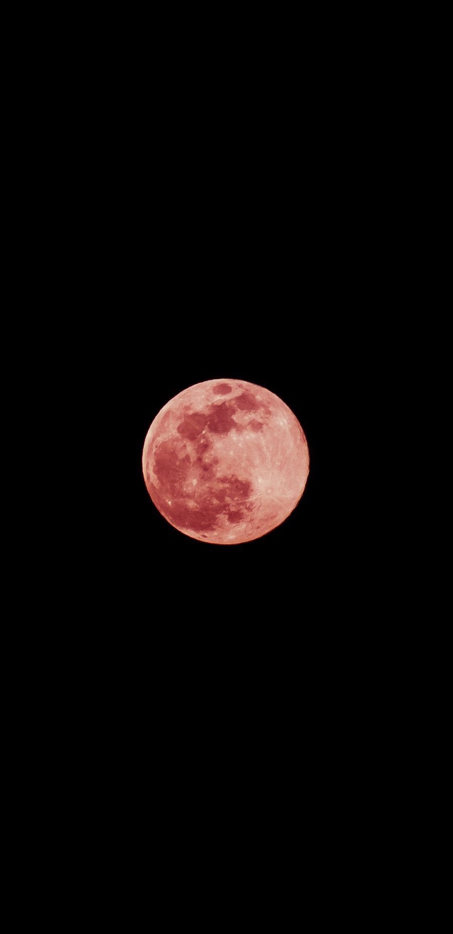 Super Pink Moon, photo by Thu Tran