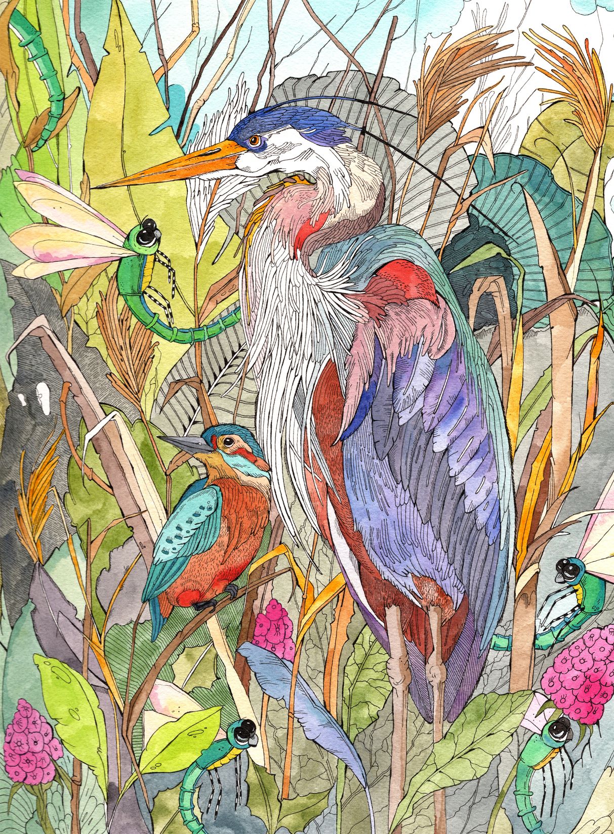 "Blue Heron & Kingfisher" Watercolor and ink by Kinga Martin