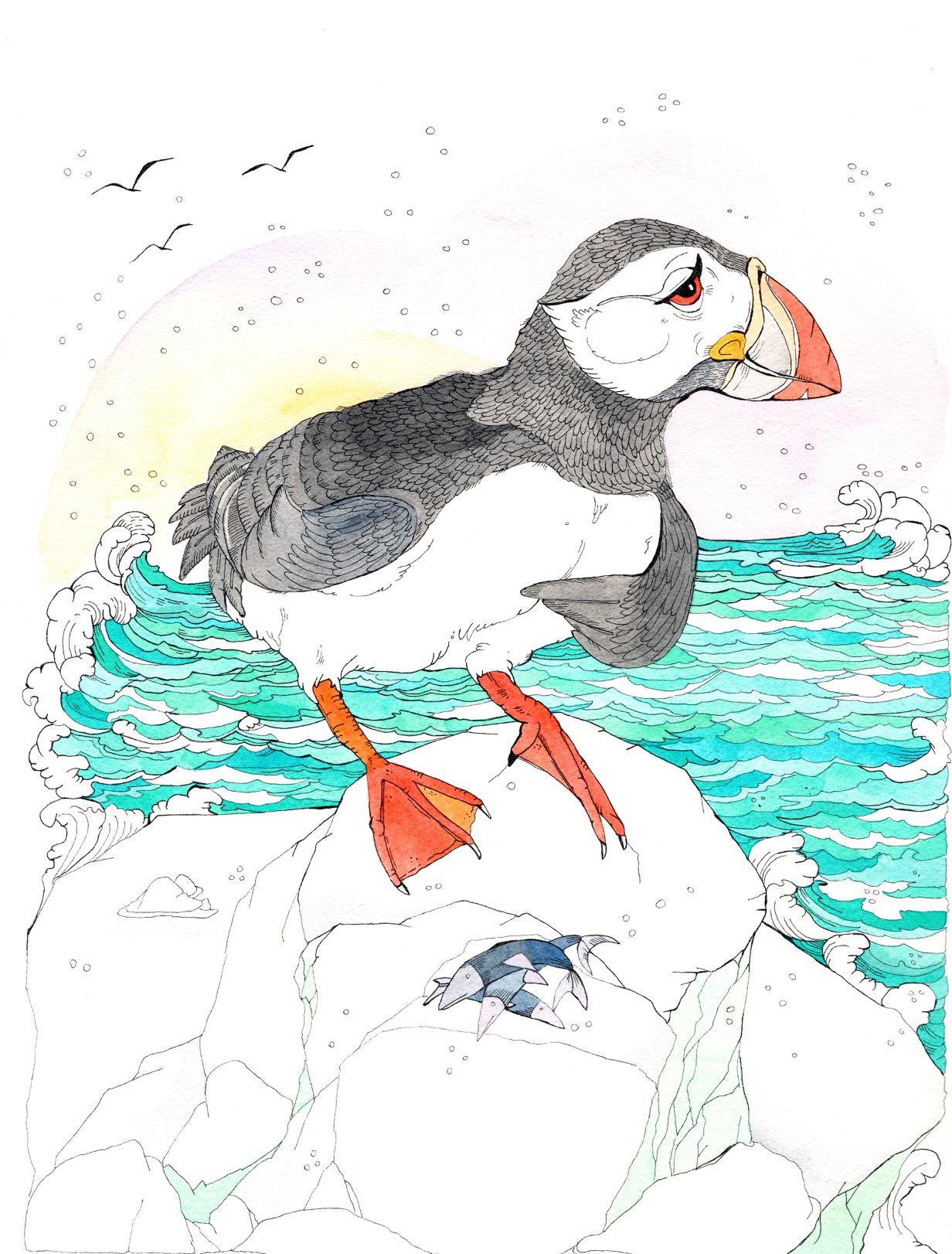 "Poppy the Puffin" Watercolor and Ink Children's Book illustration for the Book "Paisley the Polar Bear" by Kinga Martin