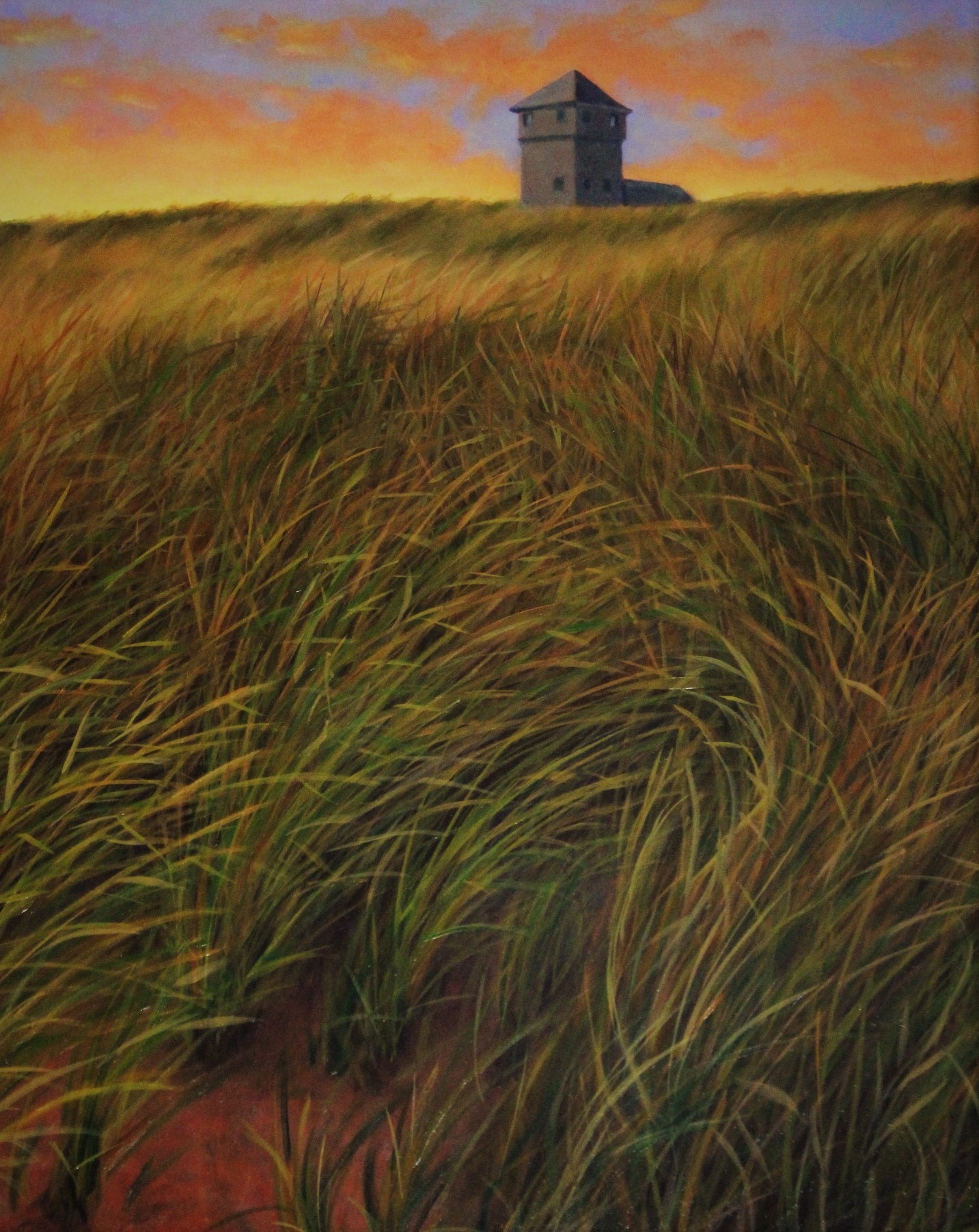 Cape grasses, by Kristine Villeneuve-Topor