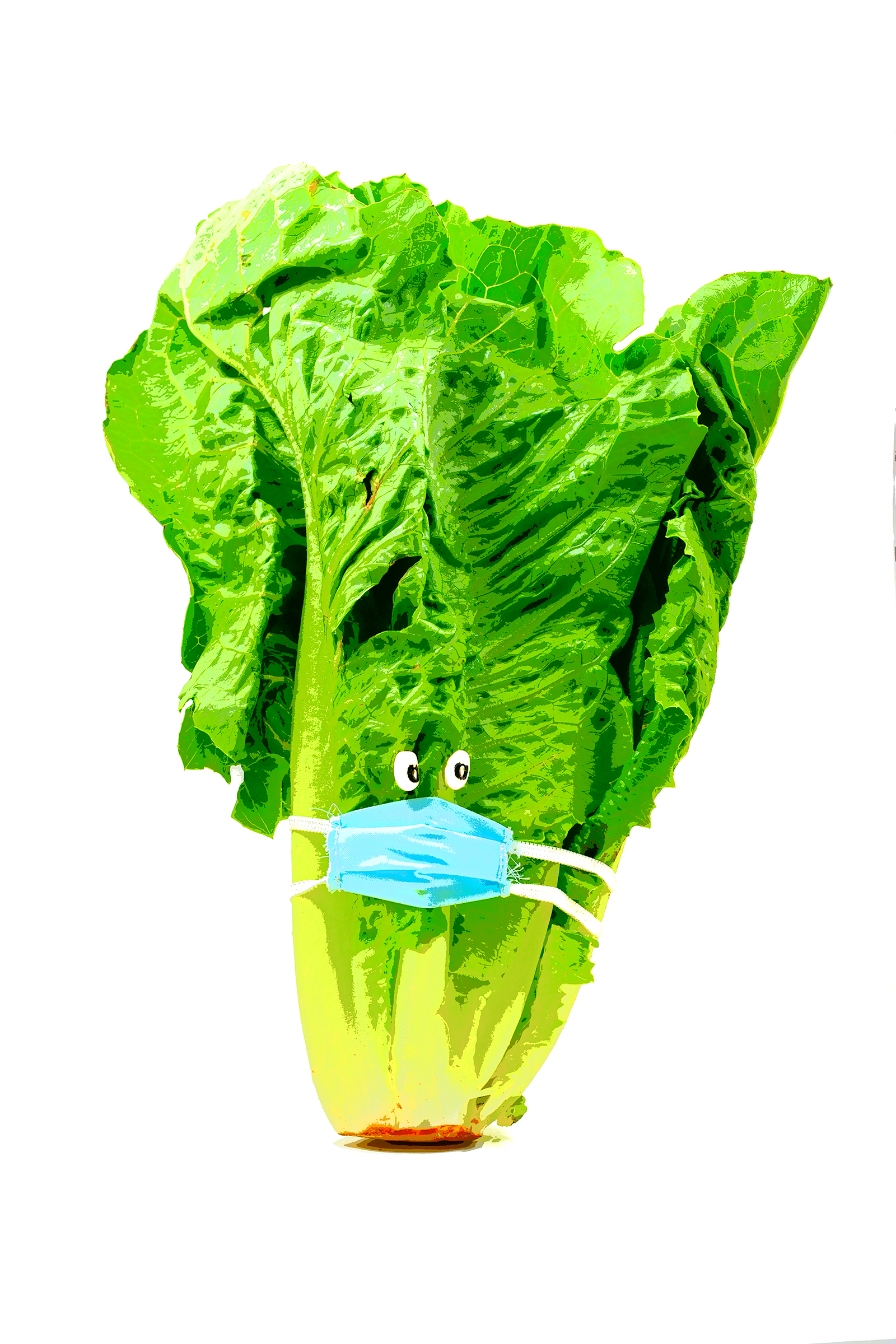 Romaine Calm, by Dave Rothstein