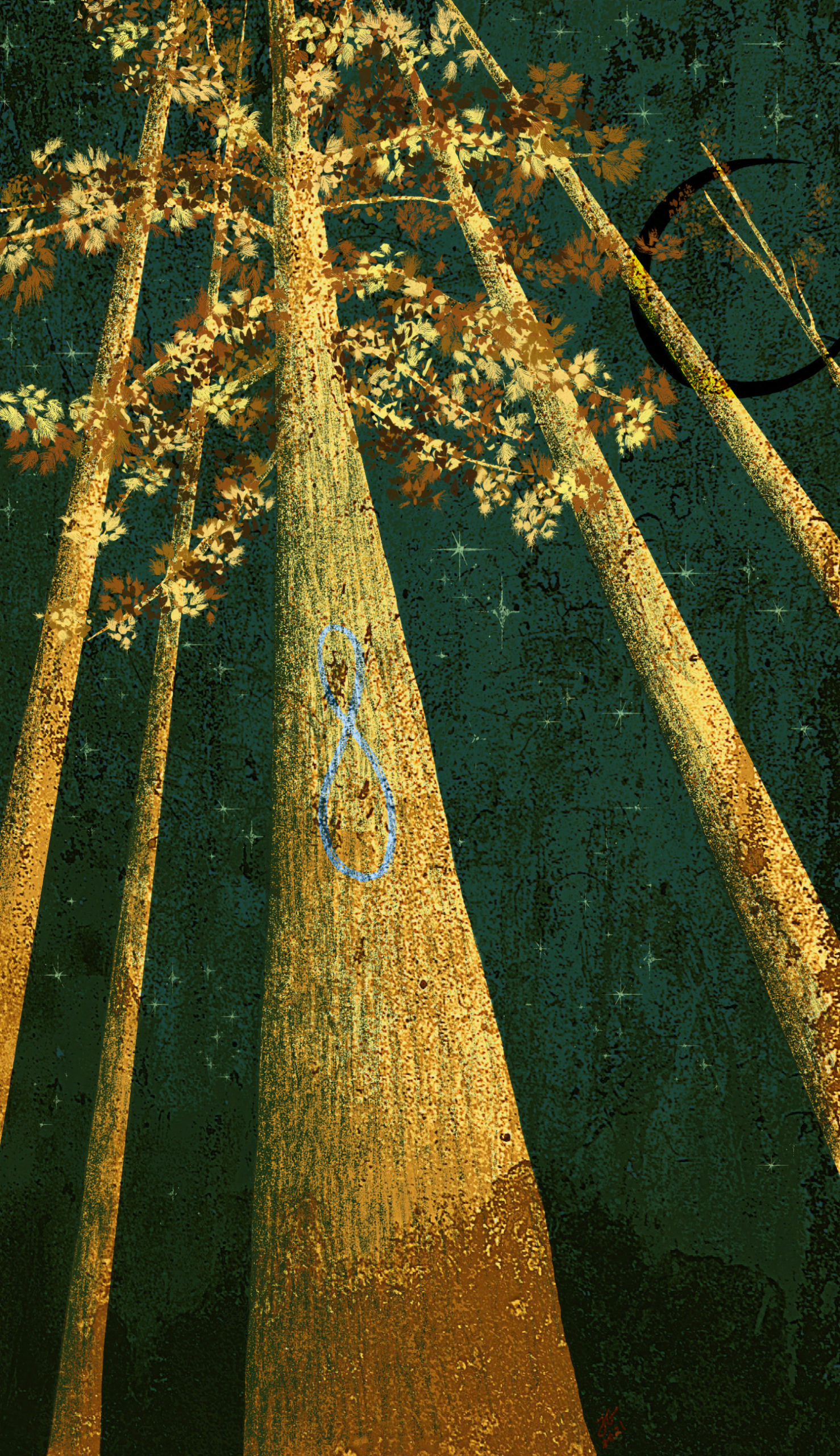 Redwood-Strength (Concept Art for the Tree Tarot), Traditional/Digital Drawing by Jacqueline Gelfuso Gallo