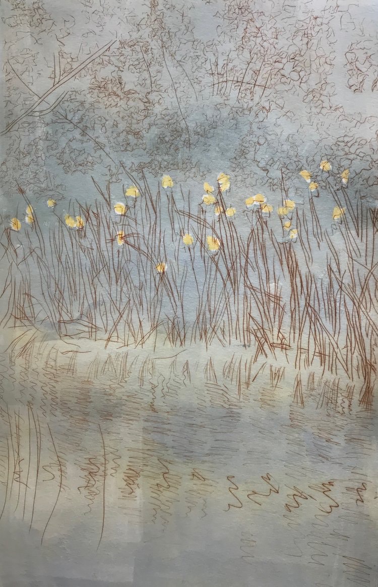 Marsh with lilies - monotype / drypoint etching by Olwen Dowling