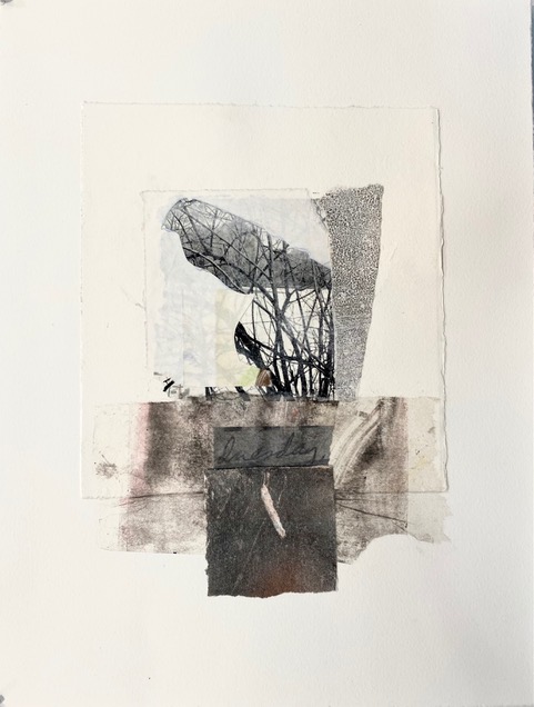 Birds Face Obstacles (ghost), monotype/drypoint/collage by Lynn Peterfreund