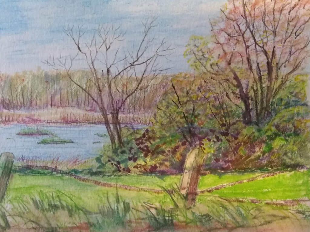 Study of Lake Wallace, by Susan Dion