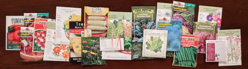 photo of arrangement of seed packets
