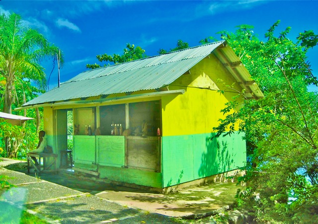 A shack by the road, Photo by William O. McGhee