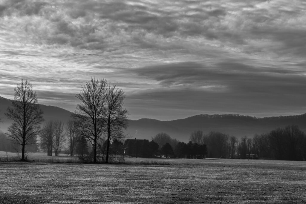 Black and white landscape photograph featuring trees and a mountain range in the distance. Cirrhus clouds streak the horizon. 